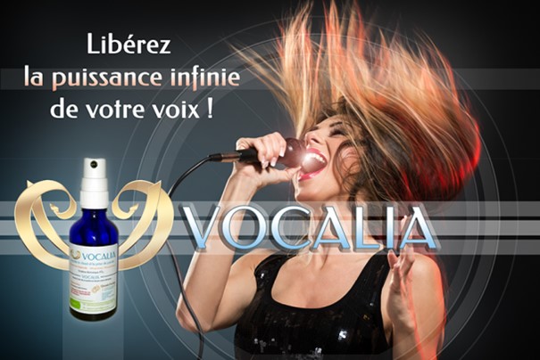 La Clef d'Accord VOCALIA© – Image 2